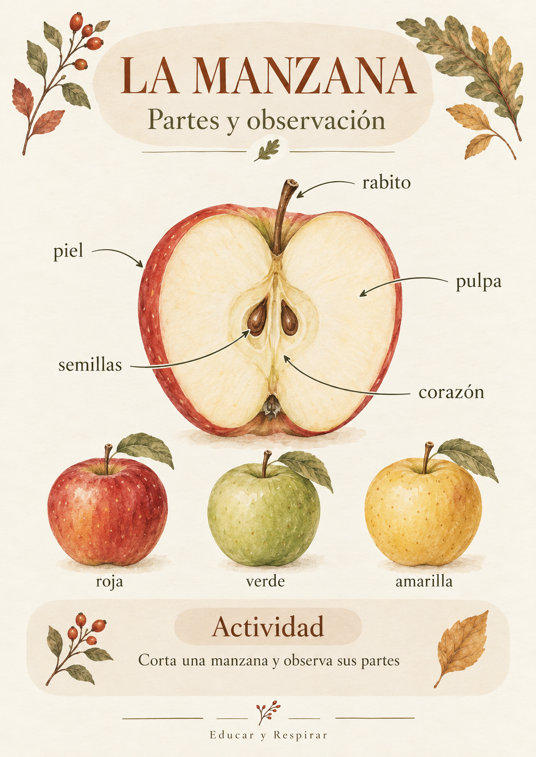 Mi cuaderno de Otoño. Actividades para aprender con la naturaleza